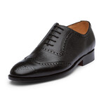 Wingtip Oxford Brogue // Black Grain (US: 8)