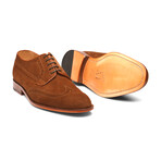 Wingtip Derby Brogue // Cognac Suede (US: 8)