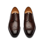 Longwing Brogue Derby // Dark Brown (US: 7)