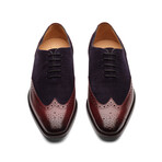 Wingtip Oxford // Burgundy + Navy Suede (US: 10)