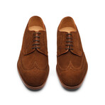 Wingtip Derby Brogue // Cognac Suede (US: 8)