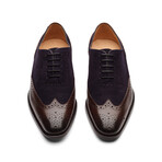 Wingtip Oxford // Dark Brown + Navy Suede (US: 7)