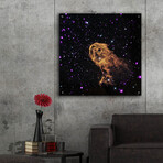 Elephant Trunk Nebula (12"H x 12"W x 0.13"D)