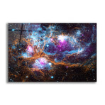 Cosmic Winert Wonderland (12"H x 16"W x 0.13"D)
