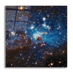 LH 95 Star Cluster (12"H x 12"W x 0.13"D)
