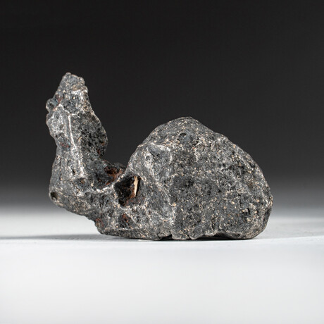 Genuine Natural Campo del Cielo Meteorite // 170 g
