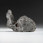 Genuine Natural Campo del Cielo Meteorite // 170 g