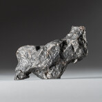 Genuine Natural Campo del Cielo Meteorite // 145 g