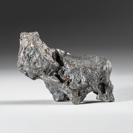 Genuine Natural Campo del Cielo Meteorite // 145 g