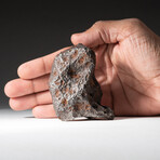 Genuine Natural Canyon Diablo Meteorite // 595 g