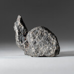 Genuine Natural Campo del Cielo Meteorite // 170 g