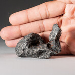 Genuine Natural Campo del Cielo Meteorite // 170 g