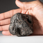 Genuine Natural Campo del Cielo Meteorite // 1.8 lb