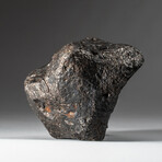 Genuine Natural Campo del Cielo Meteorite // 1.8 lb