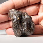 Genuine Natural Canyon Diablo Meteorite // 97 g