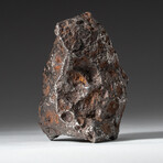 Genuine Natural Canyon Diablo Meteorite // 595 g
