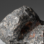 Genuine Natural Campo del Cielo Meteorite // 170 g