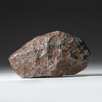 Genuine Natural Canyon Diablo Meteorite // 416 g