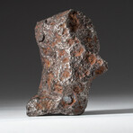 Genuine Natural Canyon Diablo Meteorite // 595 g