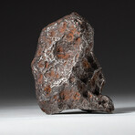 Genuine Natural Canyon Diablo Meteorite // 595 g