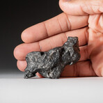 Genuine Natural Campo del Cielo Meteorite // 145 g