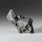 Genuine Natural Campo del Cielo Meteorite // 145 g