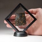 Genuine Seymchan Pallasite Meteorite Slice + Display Box // 20 g