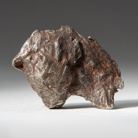 Genuine Natural Sikhote-Alin Meteorite + Display Box // 47 g