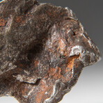 Genuine Natural Sikhote-Alin Meteorite + Display Box // 47 g