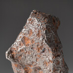 Genuine Natural Canyon Diablo Meteorite // 595 g