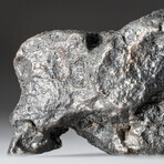 Genuine Natural Campo del Cielo Meteorite // 145 g