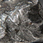 Genuine Natural Sikhote-Alin Meteorite + Display Box // 45 g