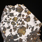 Genuine Seymchan Pallasite Meteorite Slice + Acrylic Display Stand // 74.4 g