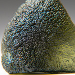 Genuine Natural Moldavite Tektite + Display Box // 14 g