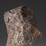 Genuine Natural Canyon Diablo Meteorite // 595 g