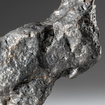 Genuine Natural Campo del Cielo Meteorite // 145 g