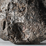 Genuine Natural Campo del Cielo Meteorite // 1.8 lb