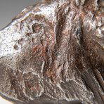 Genuine Natural Sikhote-Alin Meteorite + Display Box // 42 g
