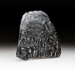 Genuine Seymchan Pallasite Meteorite Slice + Acrylic Display Stand // 185.2 g