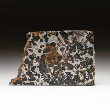Genuine Seymchan Pallasite Meteorite Slice + Acrylic Display Stand // 195.5 g