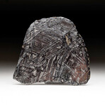 Genuine Seymchan Pallasite Meteorite Slice + Acrylic Display Stand // 185.2 g