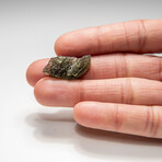 Genuine Moldavite Tektite Nugget (3 grams) in Display Box