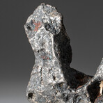 Genuine Natural Campo del Cielo Meteorite // 170 g