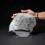 Genuine Seymchan Pallasite Meteorite Slice + Acrylic Display Stand // 205 g