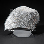 Genuine Seymchan Pallasite Meteorite Slice + Acrylic Display Stand // 205 g
