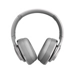 Flow II Noise Cancelling Headphones (Light Metallic)