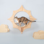 Solar // Wall-Mounted Cat Shelf + Floating Cat Bed