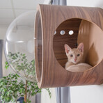 Spaceship Gamma // Wall-Mounted Cat Bed // Walnut (Left Opening)