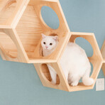 Busy Cat // Hexagon Floating Cat Shelf