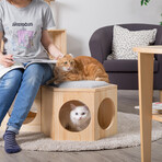 Busy Cat // Hexagon Floating Cat Shelf